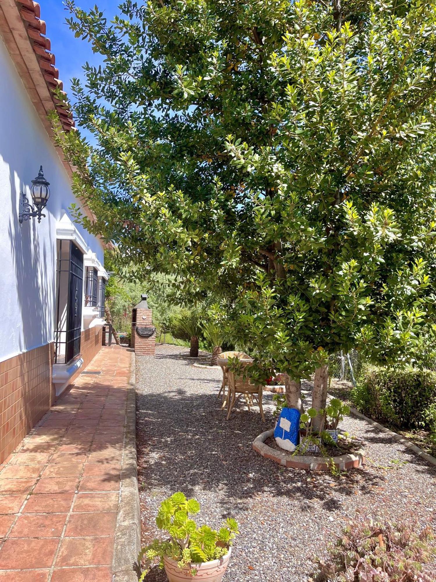 Finca Rural Mazuqueto Jubrique Eksteriør billede